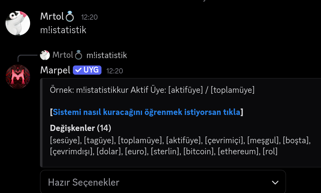 İstatistik Değişkenleri görseli