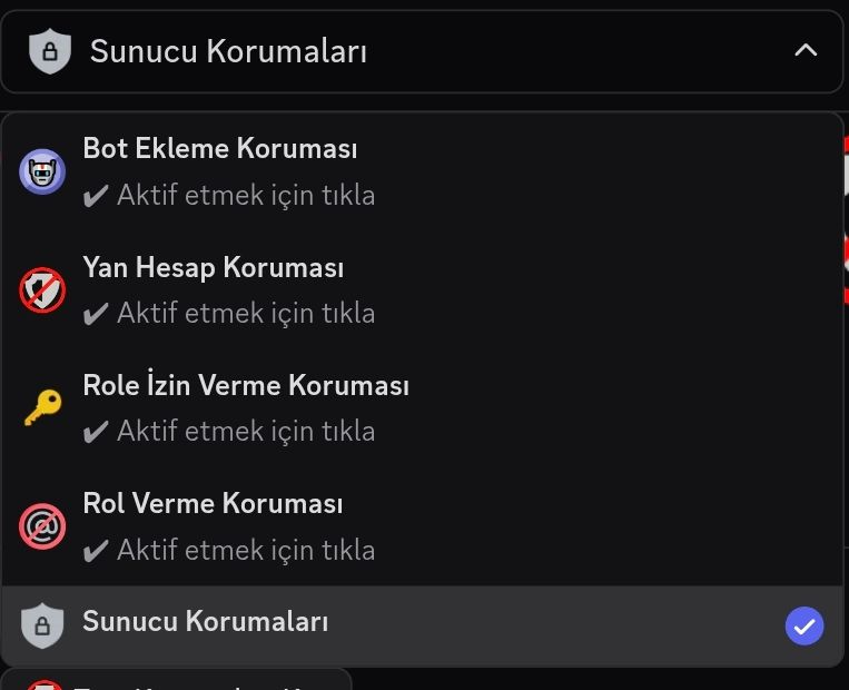 Sunucu Korumaları görseli